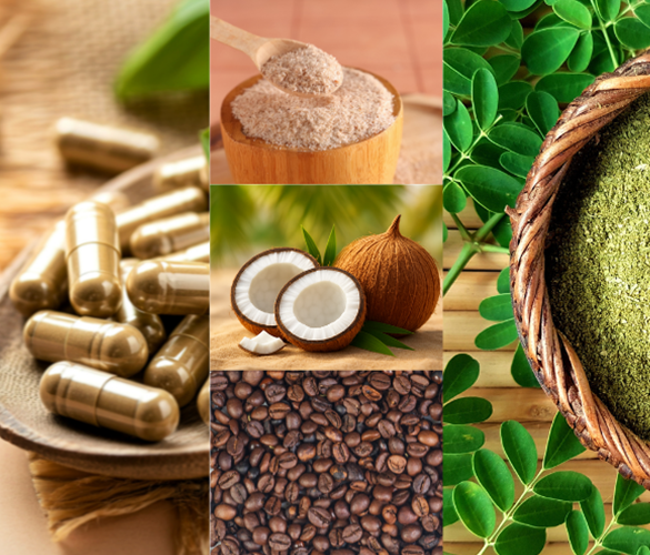 ELYXYZ LIFECEUTICALS